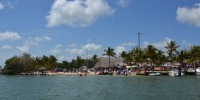 1105_full_7.jpg