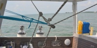 1105_full_9.jpg