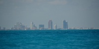 1099_full_0.jpg