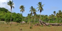 1153_full_21.jpg