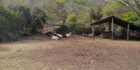 1147_full_5.jpg