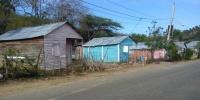 1147_full_6.jpg