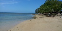 1147_full_11.jpg