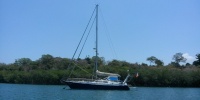 1145_full_1.jpg