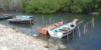 1145_full_5.jpg