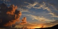 1157_full_1.jpg