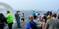 1169_full_1.jpg