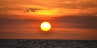 1163_full_3.jpg