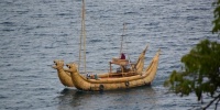 1199_full_1.jpg