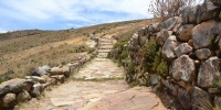 1199_full_9.jpg