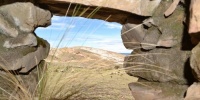 1199_full_11.jpg