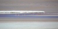 1193_full_0.jpg