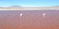 1193_full_1.jpg