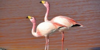 1193_full_3.jpg
