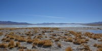 1193_full_11.jpg