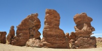 1191_full_9.jpg