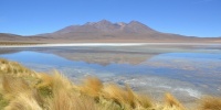 1189_full_0.jpg