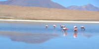 1189_full_1.jpg