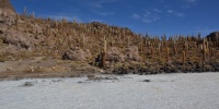 1185_full_5.jpg
