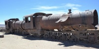 1181_full_5.jpg