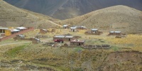1177_full_1.jpg
