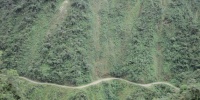 1175_full_10.jpg