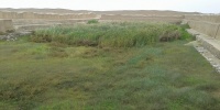 1221_full_9.jpg