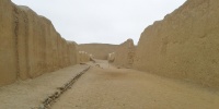 1221_full_10.jpg