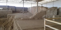 1219_full_10.jpg
