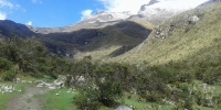 1217_full_0.jpg
