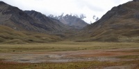 1215_full_7.jpg