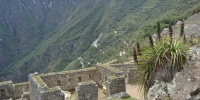 1209_full_11.jpg
