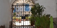 1205_full_12.jpg