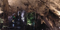 124_full_6.jpg