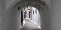 123_full_2.jpg
