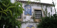 115_full_8.jpg