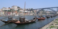 110_full_7.jpg