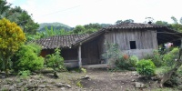 985_full_4.jpg