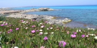 136_full_2.jpg