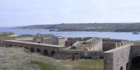 139_full_8.jpg