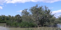141_full_11.jpg
