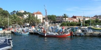 144_full_1.jpg