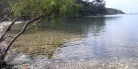 144_full_7.jpg