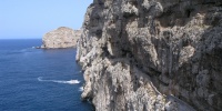 162_full_1.jpg