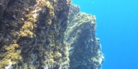 175_full_0.jpg