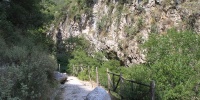183_full_2.jpg
