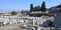 193_full.jpg