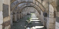 193_full_0.jpg