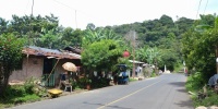 955_full_1.jpg