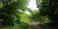 957_full_5.jpg